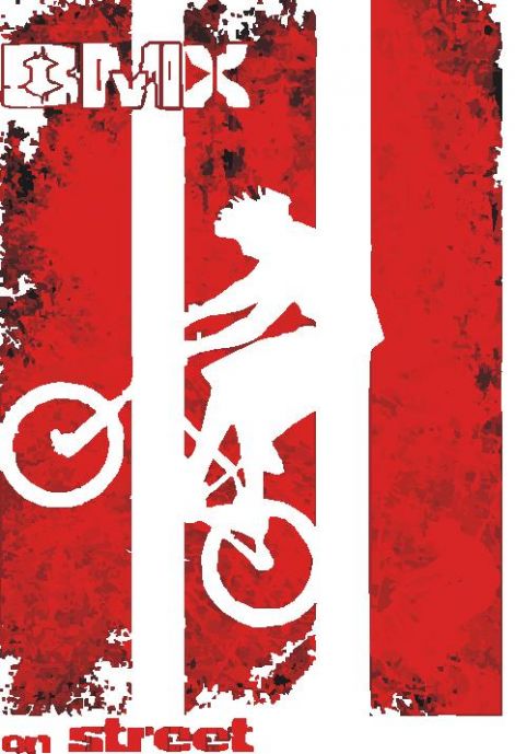 bmx_punk.jpg