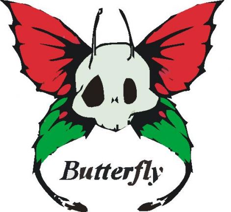 butterfly.jpg